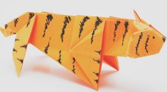 Tech Bubble or Just a Paper Tiger? Momentum Is Slowing