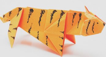 Tech Bubble or Just a Paper Tiger? Momentum Is Slowing