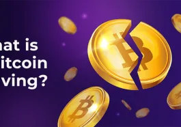 Bitcoin’s Next Halving Might Happen Sooner—And Investors Are Panicking